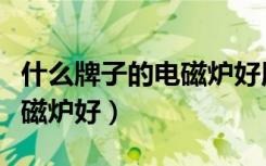 什么牌子的电磁炉好用又省电（什么牌子的电磁炉好）