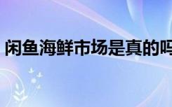 闲鱼海鲜市场是真的吗（海鲜市场是闲鱼吗）