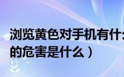 浏览黄色对手机有什么影响（黄色软件对手机的危害是什么）