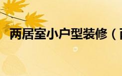 两居室小户型装修（两居室怎么设计装修）