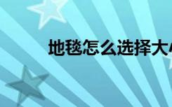 地毯怎么选择大小（地毯怎么选）