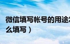 微信填写帐号的用途怎么写（微信职业类别怎么填写）