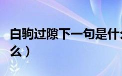 白驹过隙下一句是什么（白驹过隙下一句是什么）