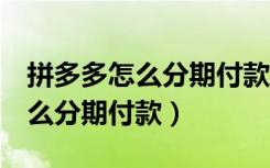 拼多多怎么分期付款2万多少利息（拼多多怎么分期付款）