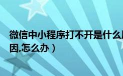 微信中小程序打不开是什么原因（微信小程序打不开什么原因,怎么办）