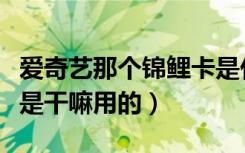 爱奇艺那个锦鲤卡是什么玩意（爱奇艺锦鲤卡是干嘛用的）