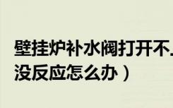 壁挂炉补水阀打开不上水（壁挂炉打开补水阀没反应怎么办）