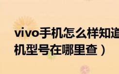 vivo手机怎么样知道自己手机型号（vivo手机型号在哪里查）