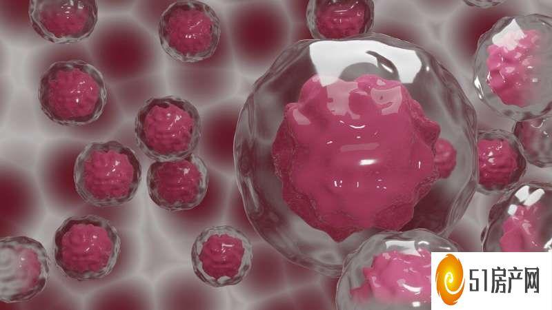 研究表明为什么免疫检查点封锁会阻碍但不能阻止胶质母细胞瘤的进展