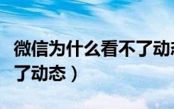 微信为什么看不了动态评论（微信为什么看不了动态）