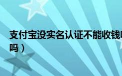 支付宝没实名认证不能收钱吗（支付宝没实名认证可以收钱吗）