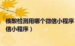 核酸检测用哪个微信小程序（核酸检测报告电子版怎么查微信小程序）