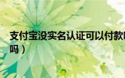 支付宝没实名认证可以付款吗（支付宝没实名认证可以收钱吗）