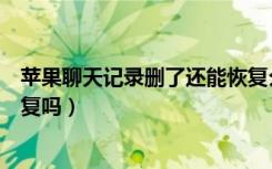 苹果聊天记录删了还能恢复么（苹果聊天记录删了还可以恢复吗）