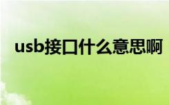 usb接口什么意思啊（USB接口什么意思）