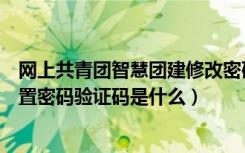 网上共青团智慧团建修改密码要求（网上共青团智慧团建重置密码验证码是什么）