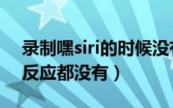 录制嘿siri的时候没有反应（录制嘿siri一点反应都没有）