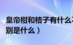 皇帝柑和桔子有什么不同（黄帝柑和橙子的区别是什么）