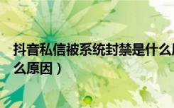 抖音私信被系统封禁是什么原因（抖音私信被系统封禁是什么原因）