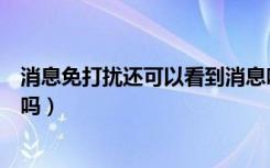 消息免打扰还可以看到消息吗（消息免打扰语音聊天还能响吗）