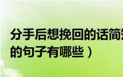 分手后想挽回的话简短的句子（分手后想挽回的句子有哪些）