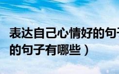 表达自己心情好的句子简短（表达今天心情好的句子有哪些）