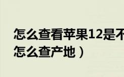 怎么查看苹果12是不是正品（苹果12紫色版怎么查产地）