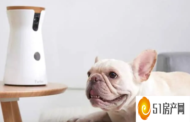 亚马逊今天发售的Furbo Dog 相机仅售 118 美元