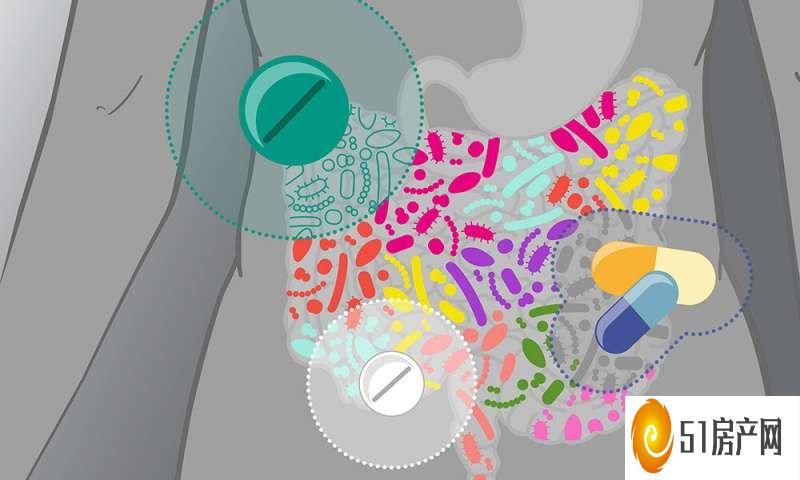 药物对肠道微生物的影响比我们想象的要大