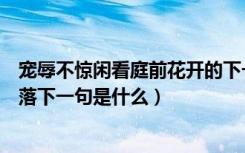 宠辱不惊闲看庭前花开的下一句（宠辱不惊闲看庭前花开花落下一句是什么）