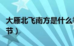 大雁北飞南方是什么季节（大雁北飞是什么季节）