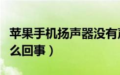 苹果手机扬声器没有声音（苹果没有声音是怎么回事）