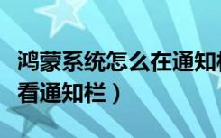 鸿蒙系统怎么在通知栏看信息（鸿蒙系统怎么看通知栏）