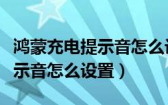 鸿蒙充电提示音怎么设置自定义（鸿蒙充电提示音怎么设置）