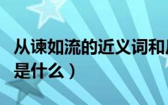 从谏如流的近义词和反义词（从谏如流近义词是什么）