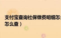 支付宝查询社保缴费明细怎么查（支付宝查询社保缴费记录怎么查）