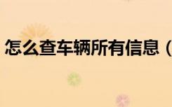 怎么查车辆所有信息（查车辆信息怎么查询）