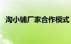 淘小铺厂家合作模式（淘小铺是什么模式）