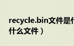 recycle.bin文件是什么（recyclebinhw 是什么文件）