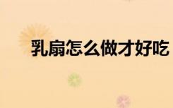 乳扇怎么做才好吃（乳扇怎么做好吃）