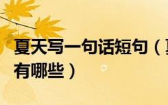 夏天写一句话短句（夏天来了写一句话简短的有哪些）