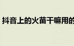 抖音上的火苗干嘛用的（抖音火苗有什么用）