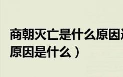 商朝灭亡是什么原因造成的（商朝灭亡的真实原因是什么）