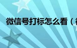 微信号打标怎么看（微信号打标了怎么办）