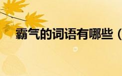 霸气的词语有哪些（霸气的词语有哪些）