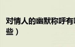 对情人的幽默称呼有哪些（对爱人的称呼有哪些）