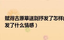 赋得古原草送别抒发了怎样的情感（《赋得古原草送别》抒发了什么情感）