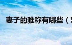 妻子的雅称有哪些（对妻子的雅称有哪些）