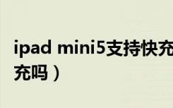 ipad mini5支持快充（ipad mini5支持pd快充吗）
