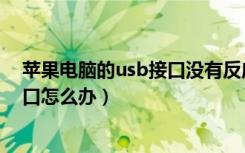 苹果电脑的usb接口没有反应怎么办（苹果电脑没有usb接口怎么办）